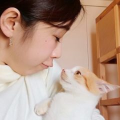 ねこべさん